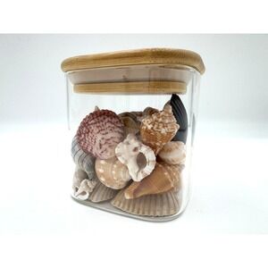 Handpicked Sea Shells from Sanibel Island in a Glass Jar 3" tall